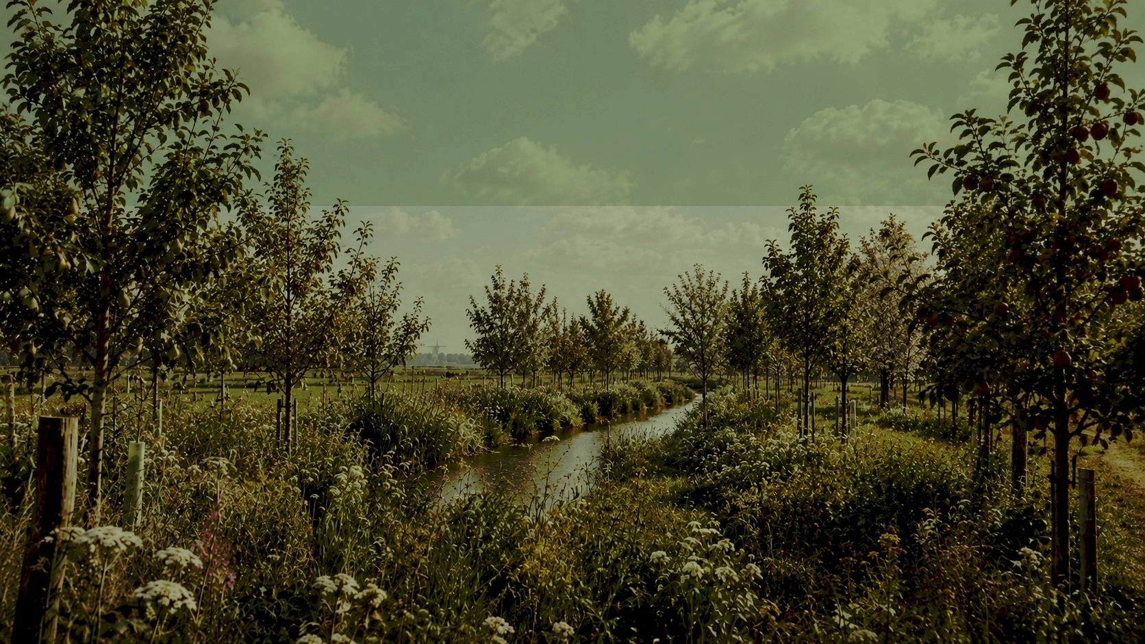 Zuid-Holland · Agroforestry
