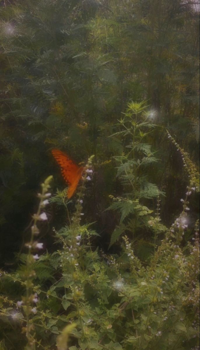 Overveen · Secret Garden