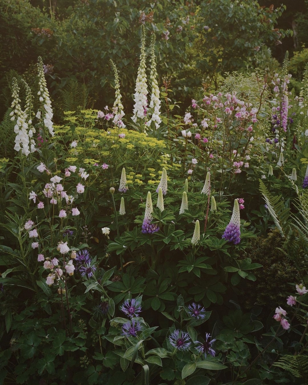 Botanisch detail