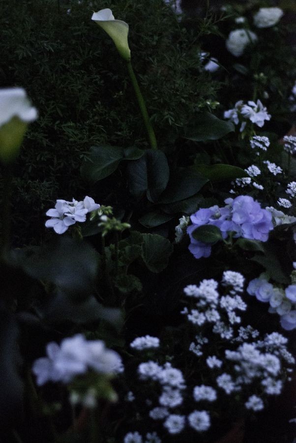 Nachtelijke border met witte en lila bloemen